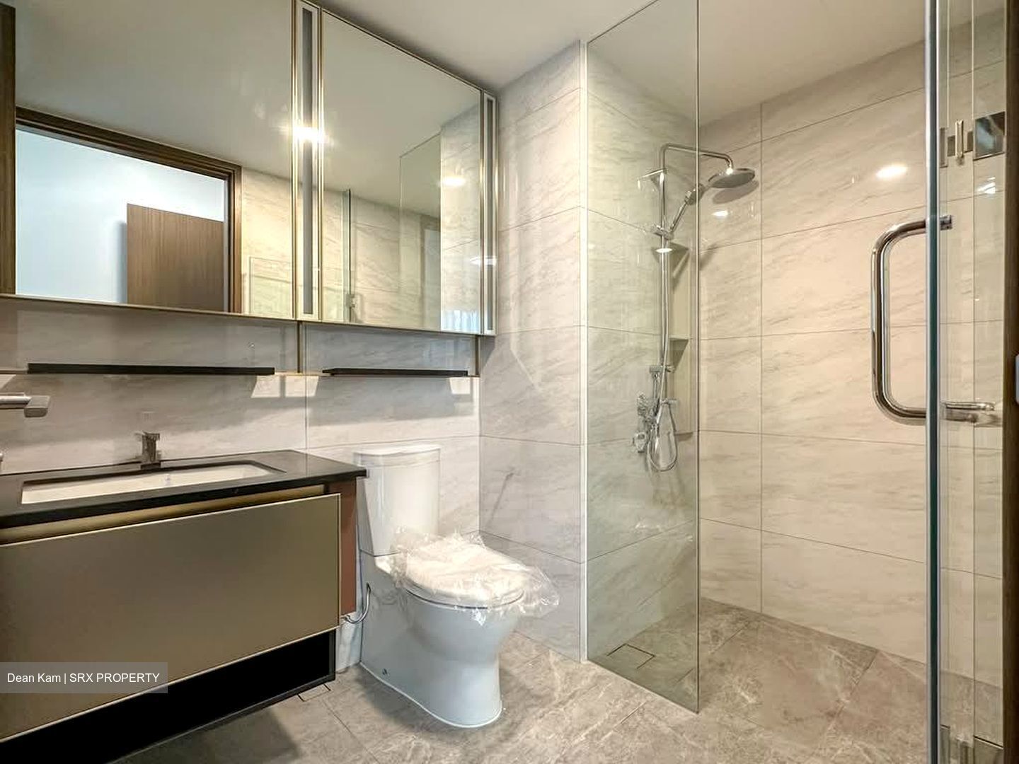 Normanton Park (D5), Apartment #568104661